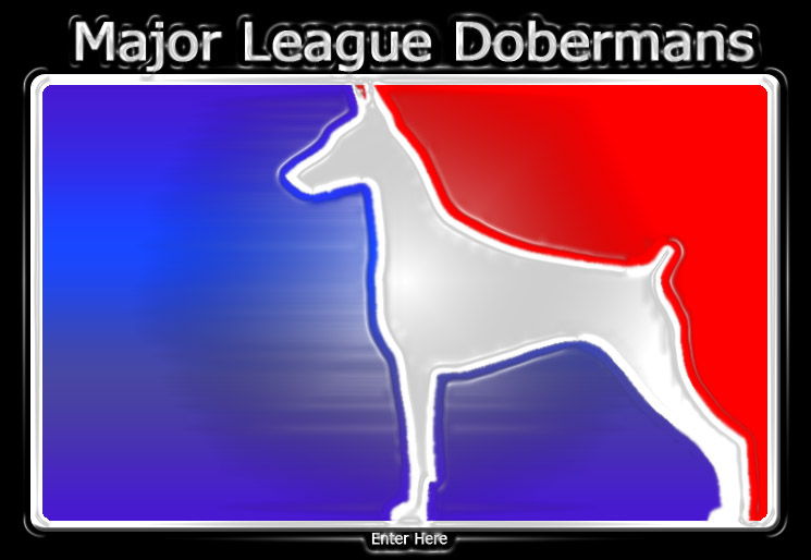 Major League Dobermans